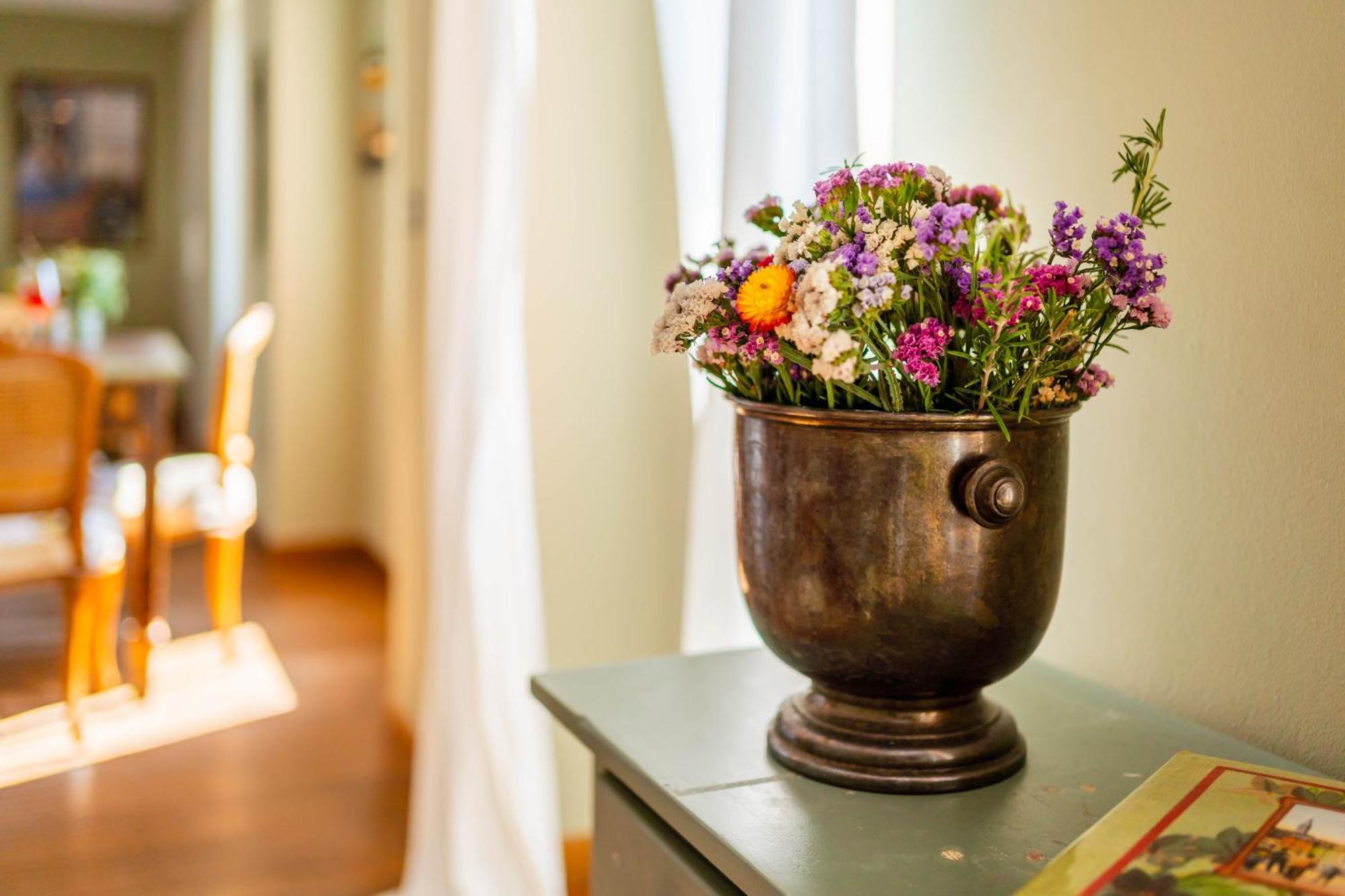 Apartment Mediterraneo Rovinj Dış mekan fotoğraf