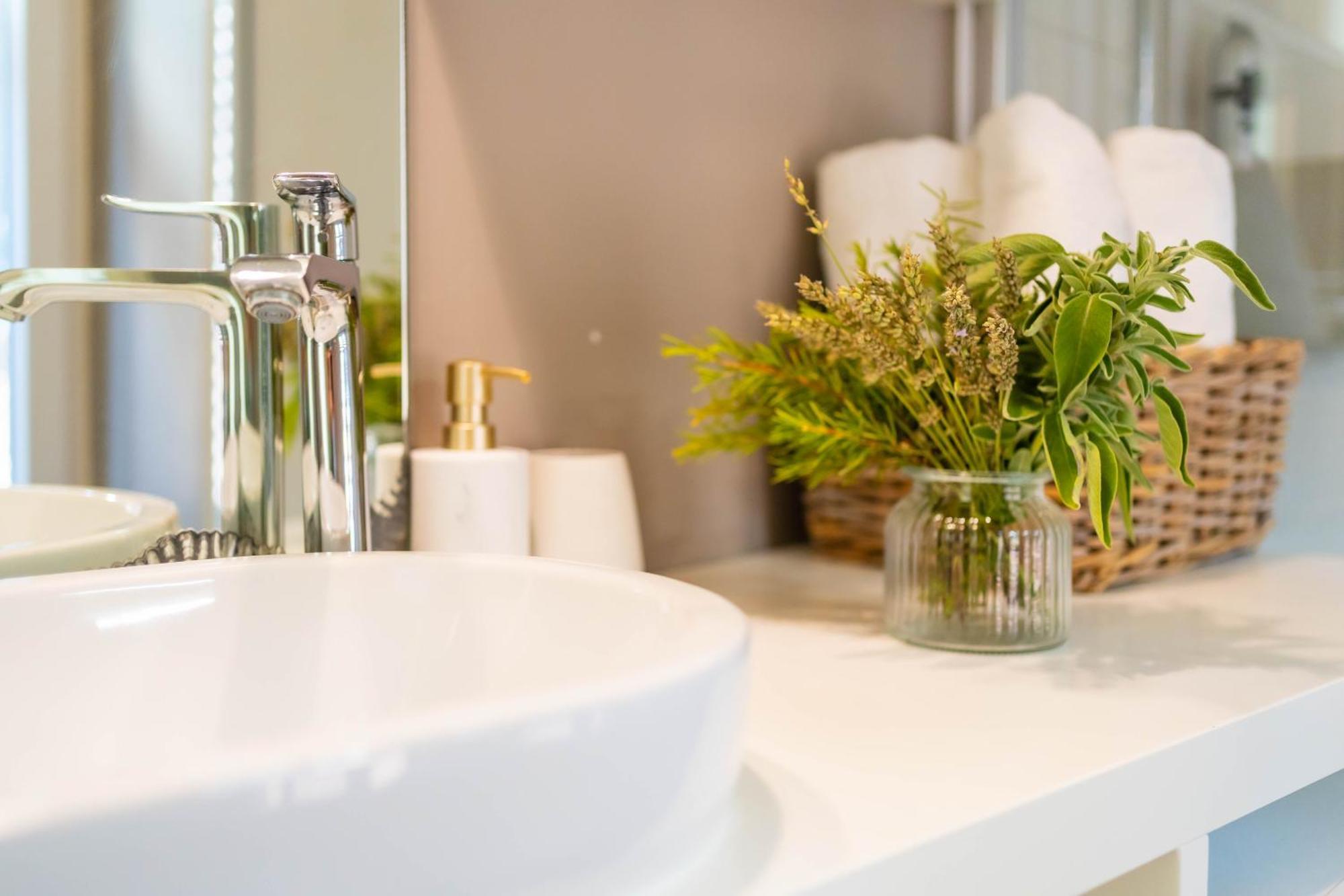 Apartment Mediterraneo Rovinj Dış mekan fotoğraf